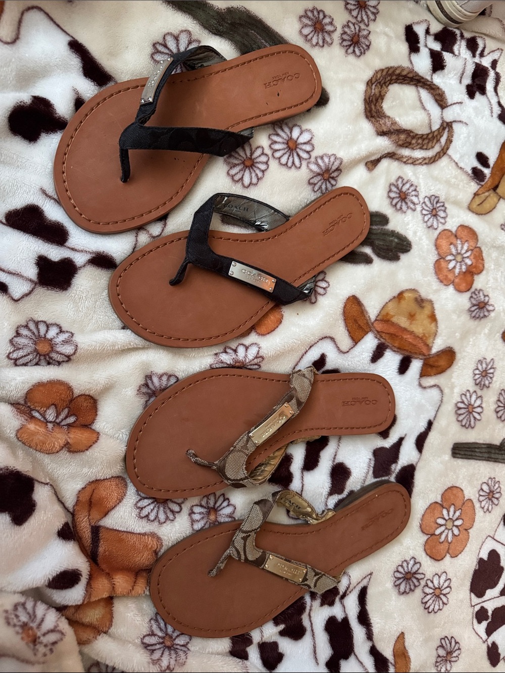 Coach Brown Leather Flip Sandals with Black and Tan Straps (Set of 2)